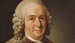 Var  Carl  von Linné  en rasist?