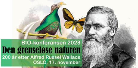 BIO-konferansen 2021: De umistelige