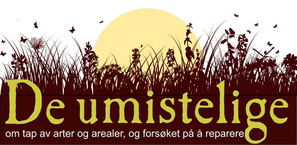 BIO-konferansen 2021: De umistelige