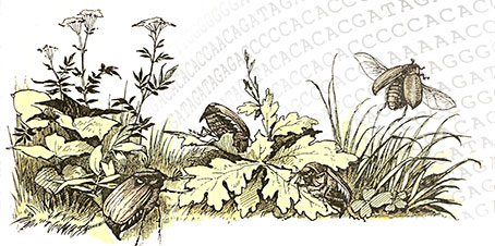 BIO-konferansen 2025: Artenes bibliotek